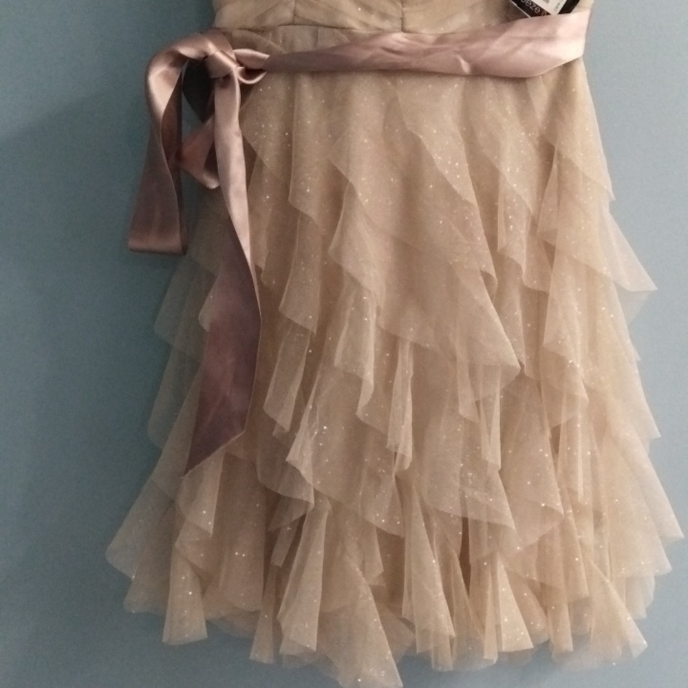NWT Teeze Me Cream Layered Sparkling Dress with Pink Ribbon Size 3 - Picture 4 of 6
